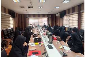 بررسی عناصر اصلی معنوی در رابطه انسان با خود در نشست هم‌اندیشی کارشناسان مرکز مراقبت معنوی